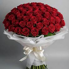 Букет 101 Красная роза Блэк Мэджик в Электростали