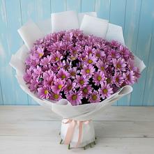 Букет цветов из:  Хризантемы #REPLACE_PRED# Электростали