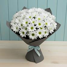 Букет цветов из:  Хризантемы в Электростали
