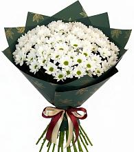 Букет цветов из:  Хризантемы #REPLACE_PRED# Электростали