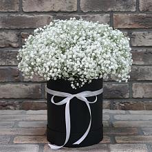 Цветочная композиция из Гипсофила в шляпной коробке в Электростали