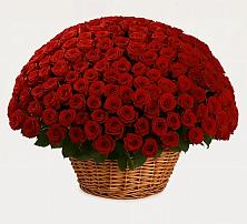 Премиум букет из: Розы в Электростали